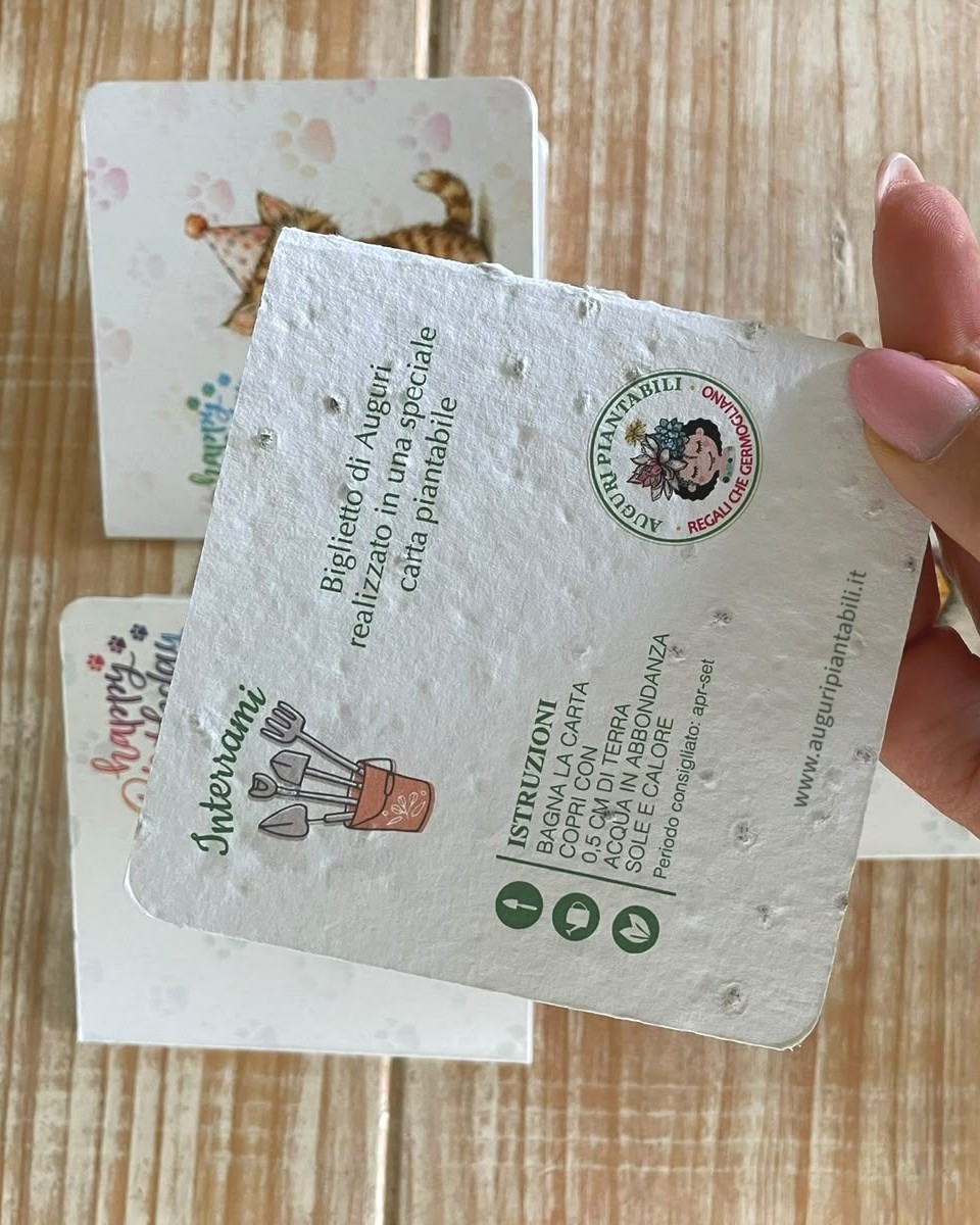 Retro del biglietto in carta piantabile con i semi visibili e le istruzioni per la semina