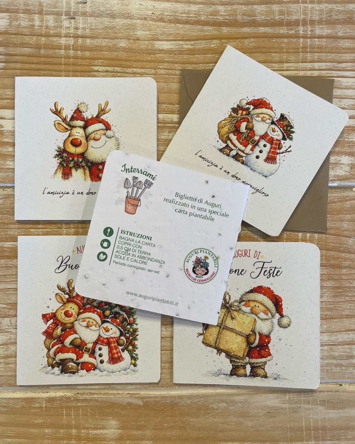 Set Natale e Amicizia: quattro biglietti in carta piantabile con il retro e le istruzioni per la semina